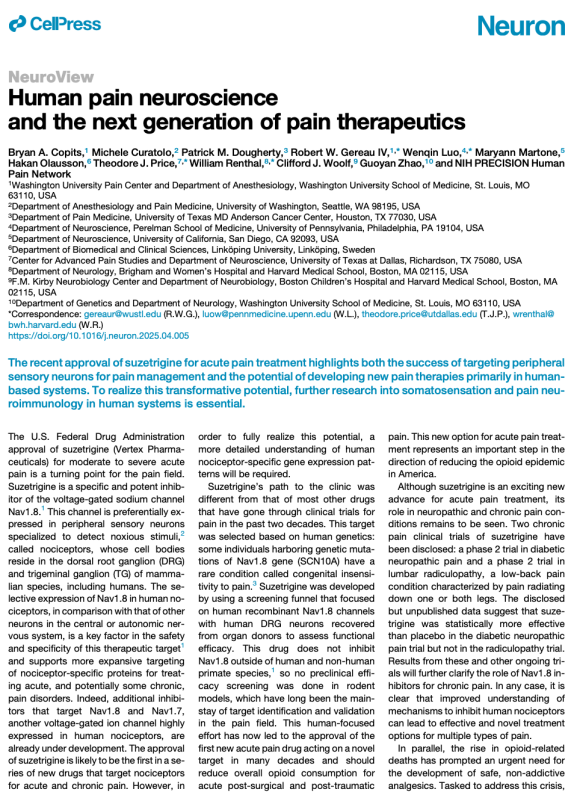 Human pain neuroscience and the next generation of pain therapeutics